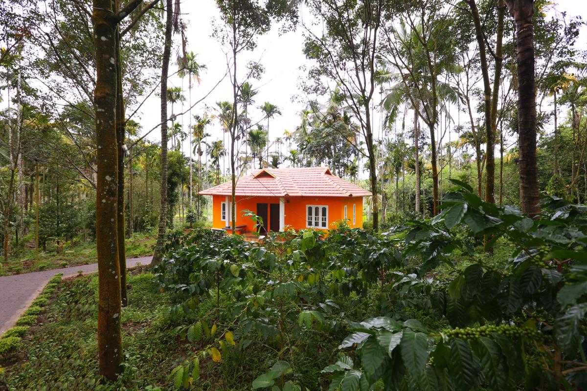 Himadri Retreat Cottages photo 1