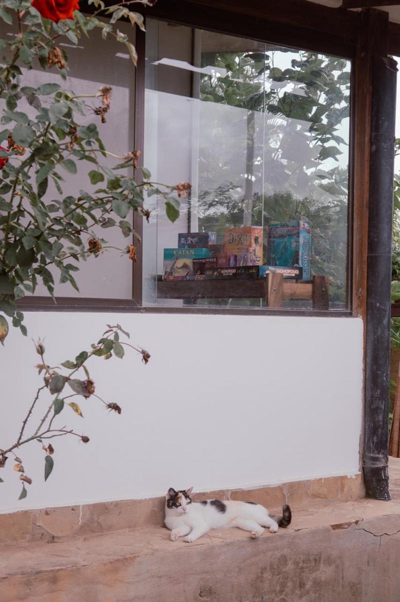Casa Favorita photo 4