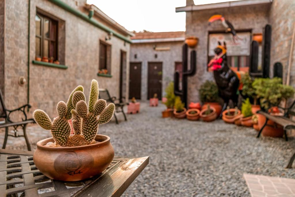 Hostal Niña Coya photo 1