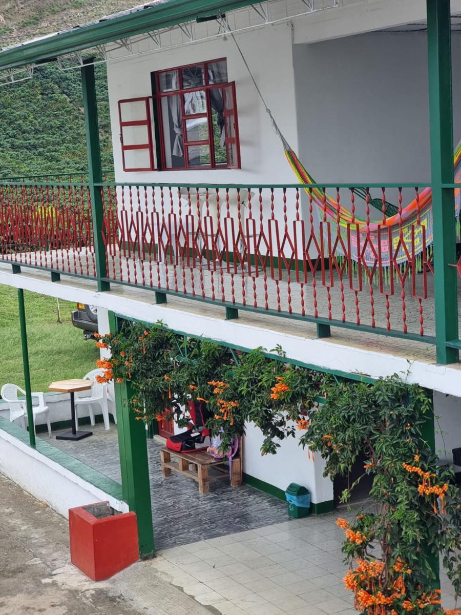 Santa Marta Guest House photo 3