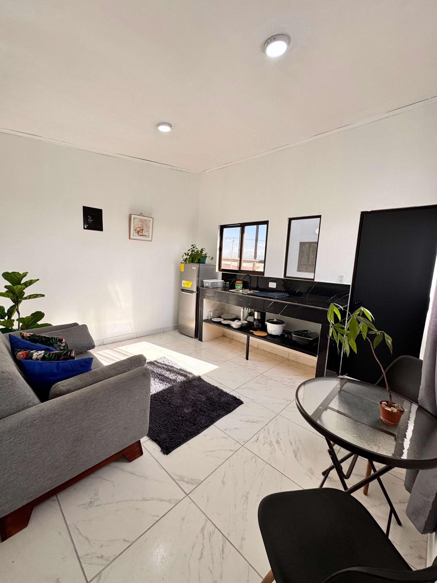 Global House photo 2