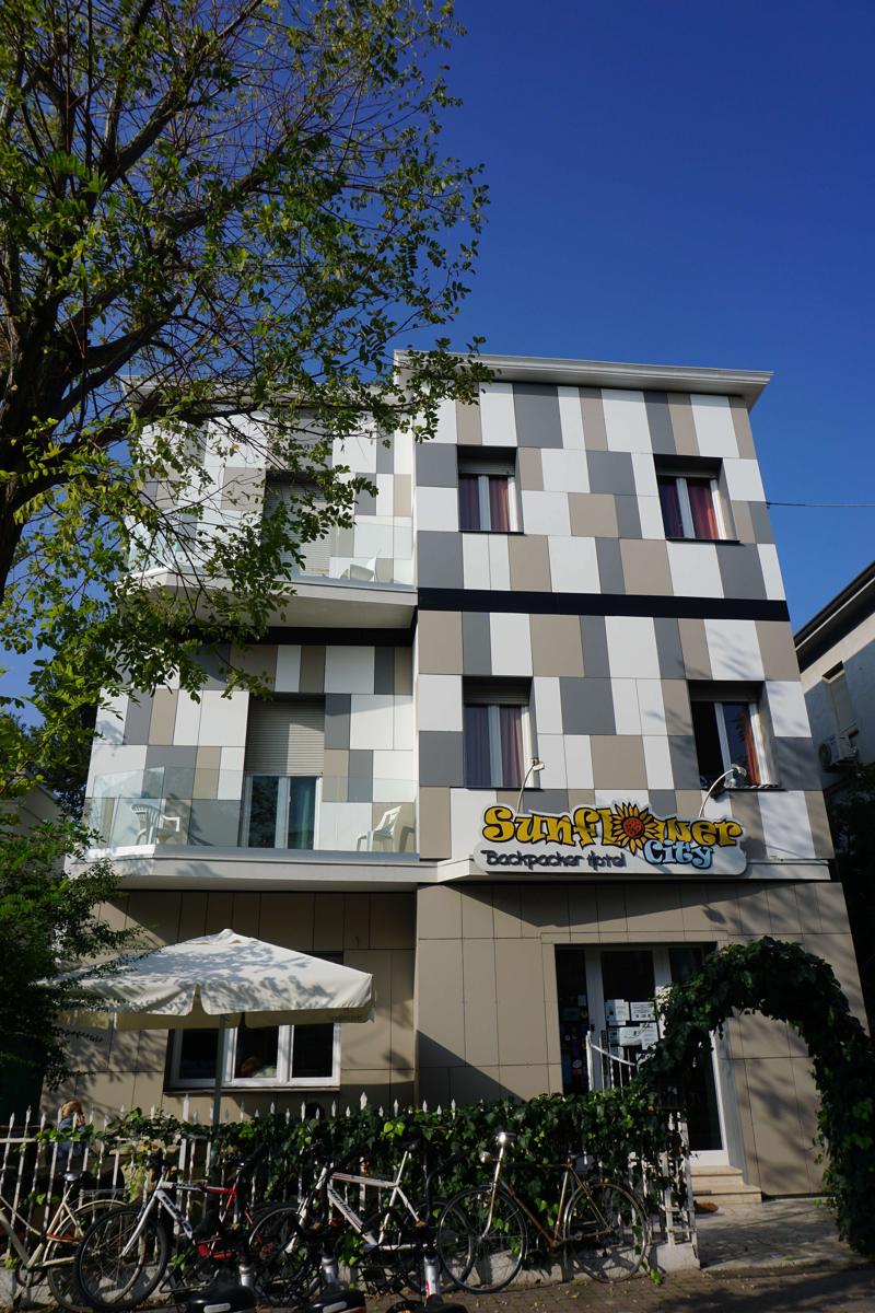 Sunflower City Student Hostel & Bar photo 4