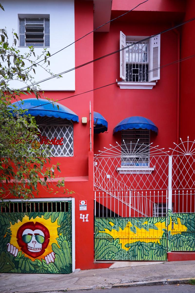 Red Monkey Hostel Barra Funda photo 1