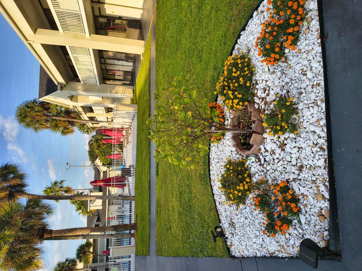 Bposhtels Orlando Disney photo 6