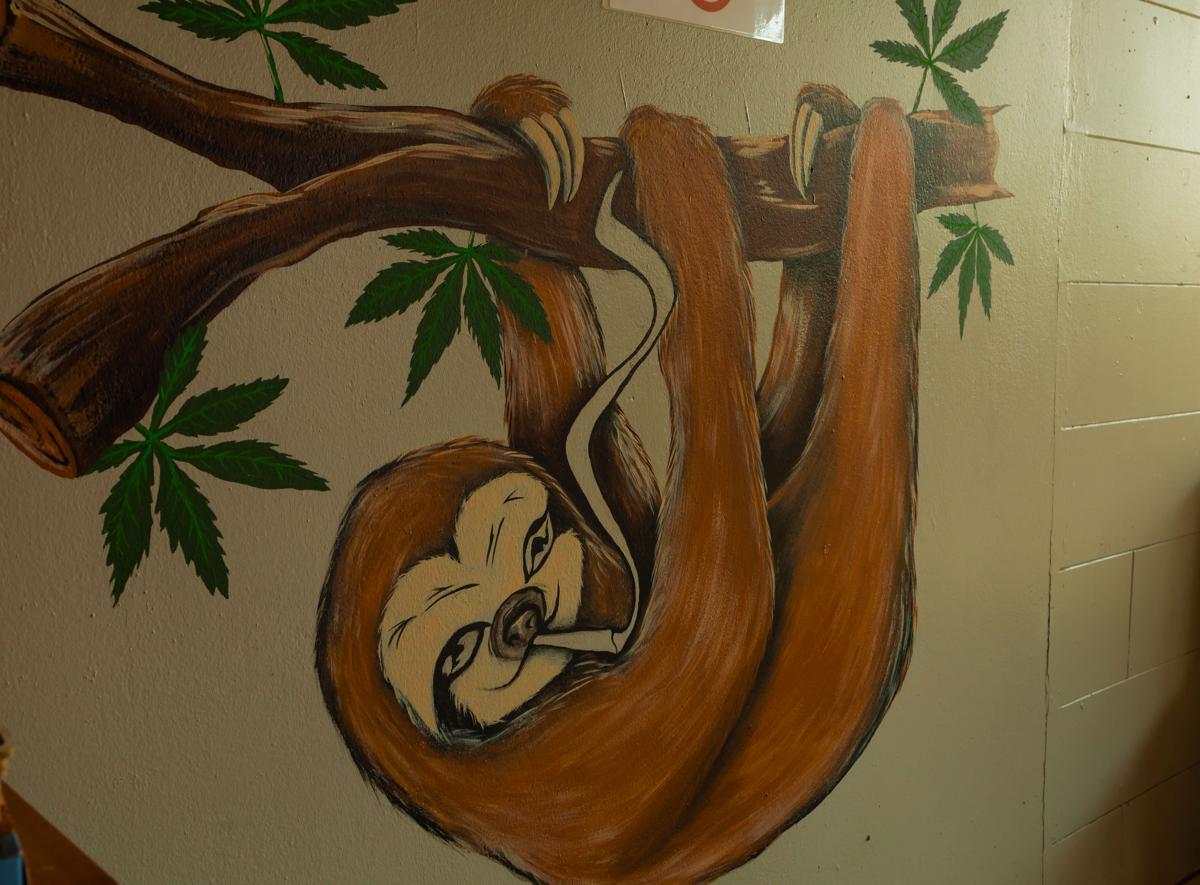 Arenal Sloth Hostel photo 4