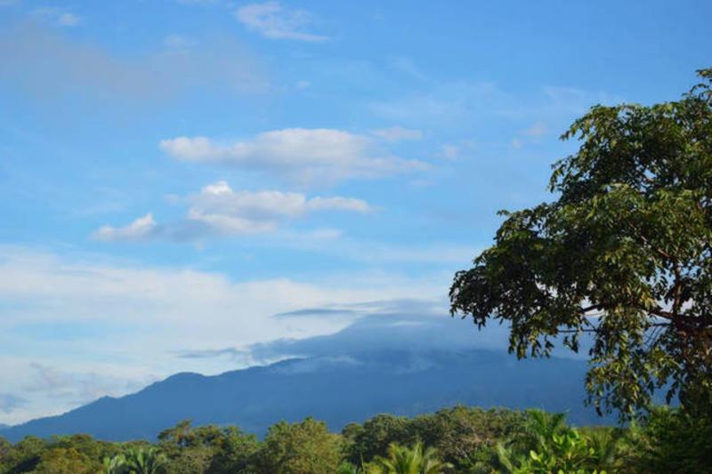 Guesthouse Pura Vida photo 5