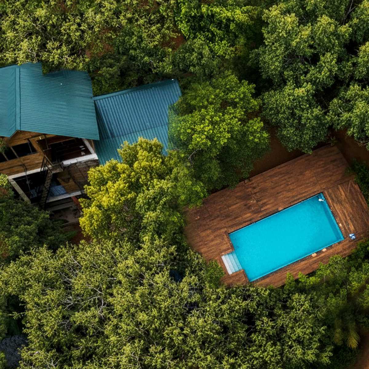 Tree House Hostel Sigiriya photo 1