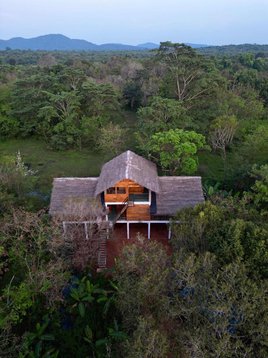 Tree House Hostel Sigiriya photo 3