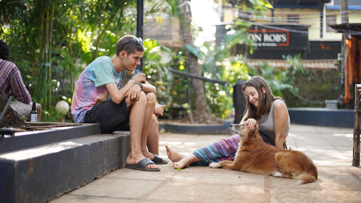 The Bucket List Goa Vagator photo 4
