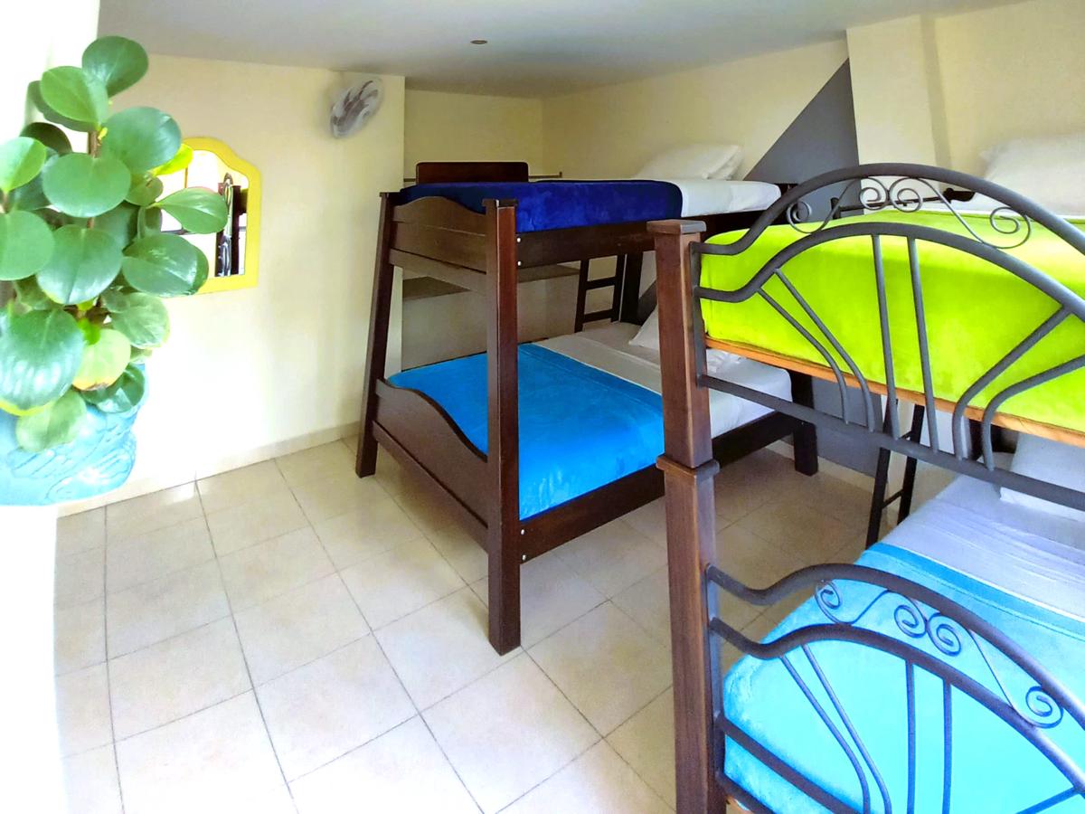 Casa Azul Boutique Hostel photo 4