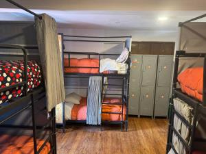 Tlv HOSTEL photo 3