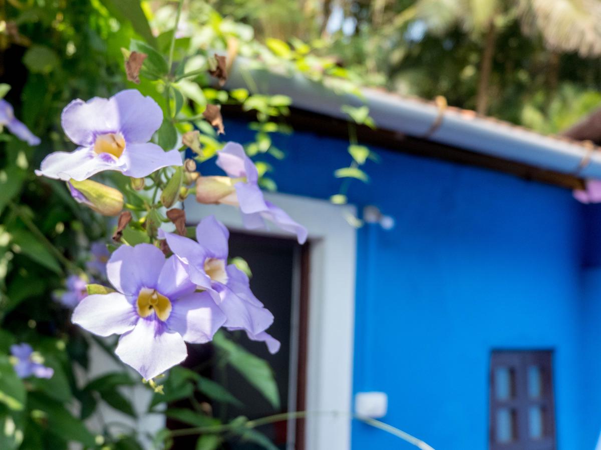 Villa Khatun Guesthouse photo 2