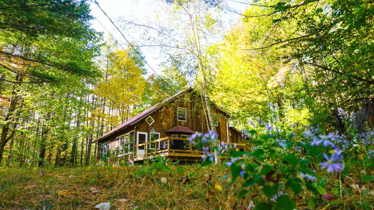 Llama House ADK photo 1