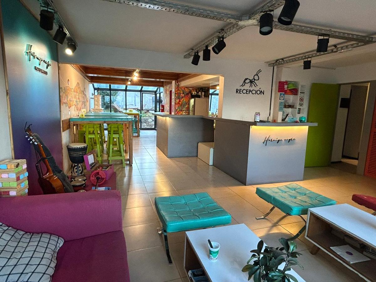 Hostel Boutique Hormiga Negra photo 3