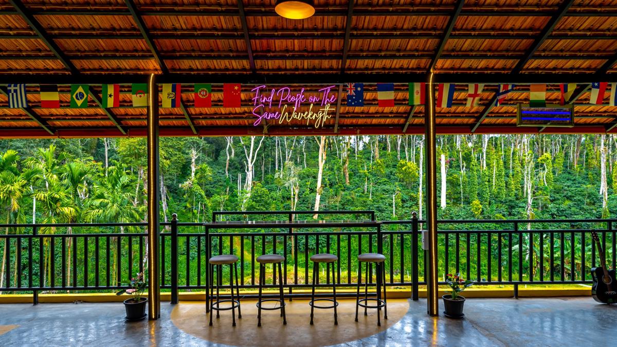The Hosteller Coorg Rainforest, Madikeri photo 2
