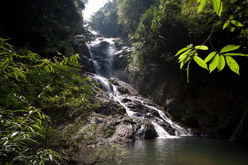 Khao Sok Riverside Cottages photo 4