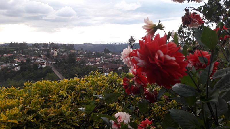 Hostal Finca Cardonales photo 5