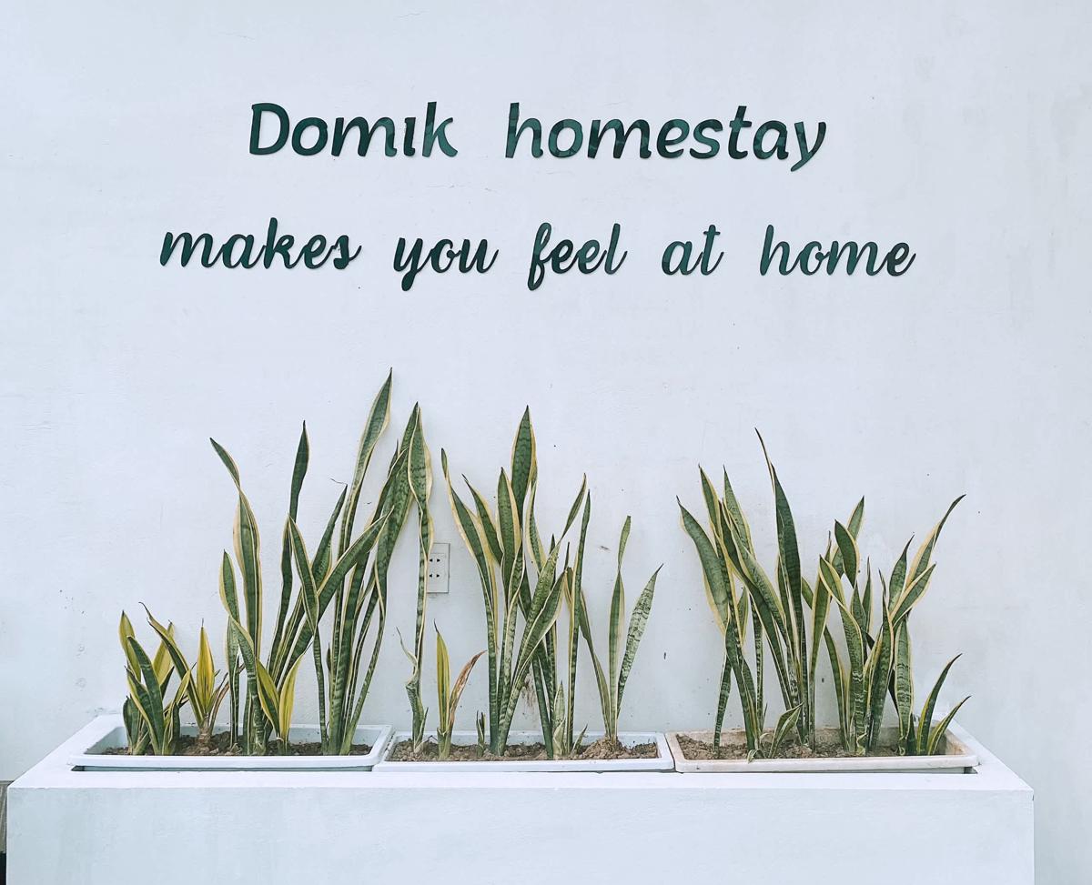 Domik Homestay photo 3