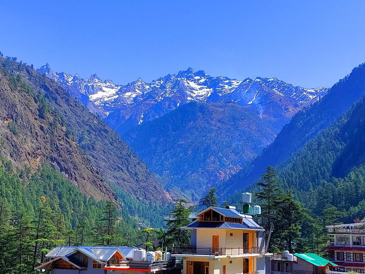 Jungle by sturmfrei Kasol photo 4