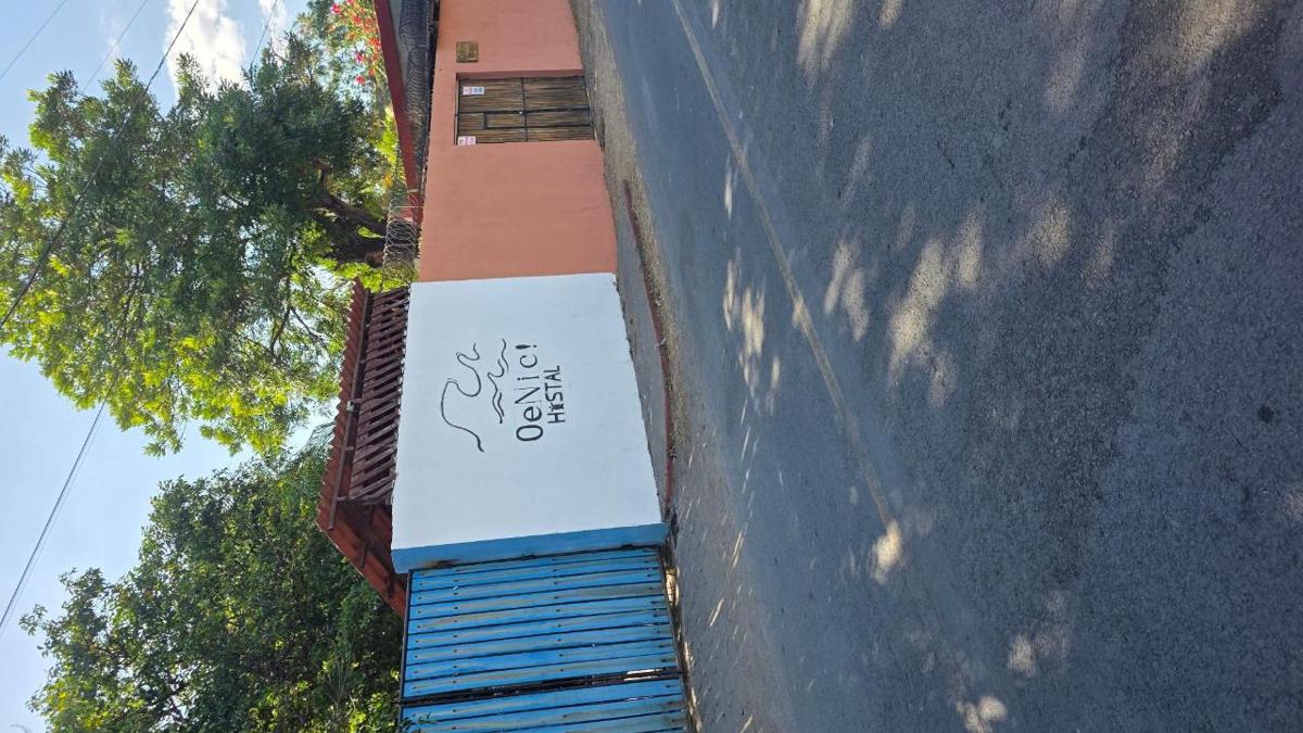 OeNic! Hostal photo 6