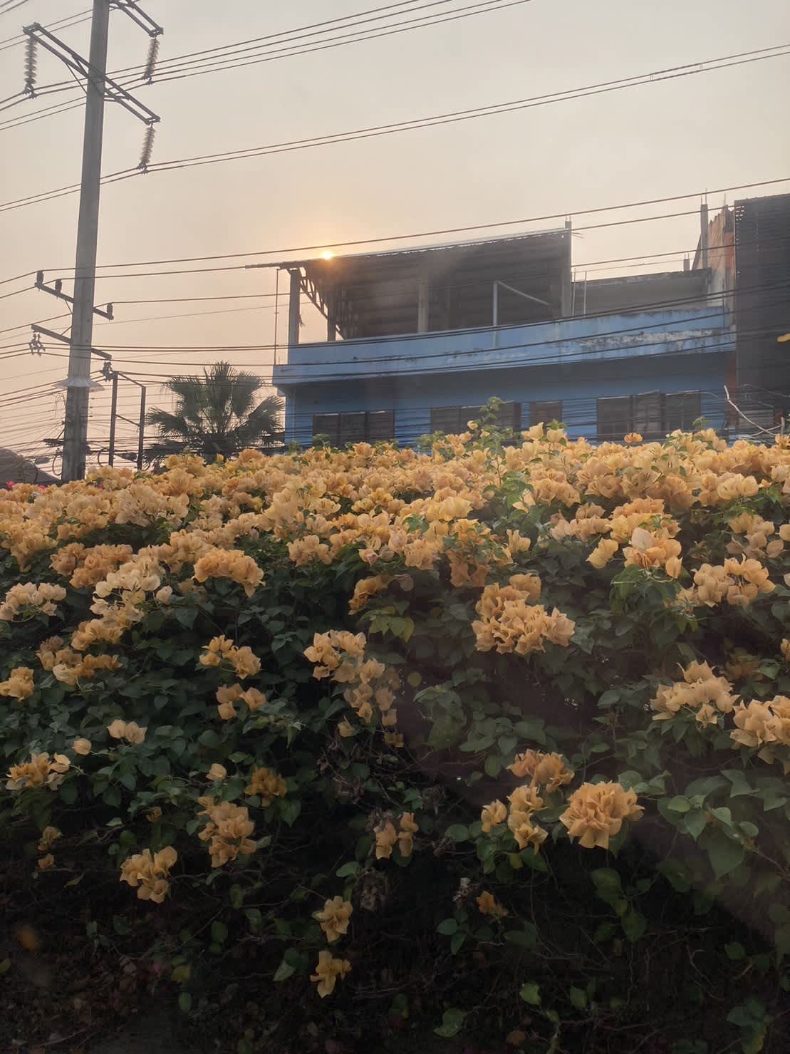 Wiriya House photo 2