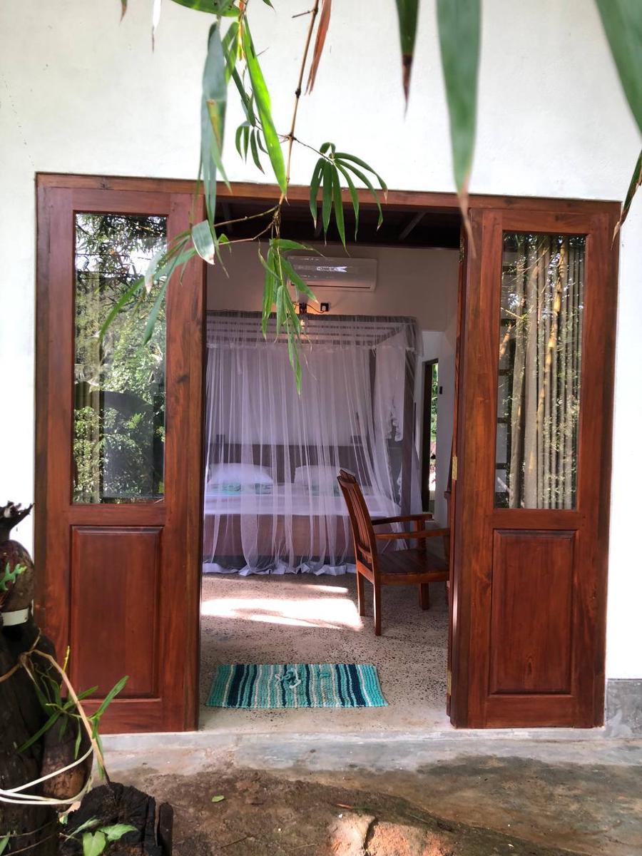 Jungle Lodge photo 1