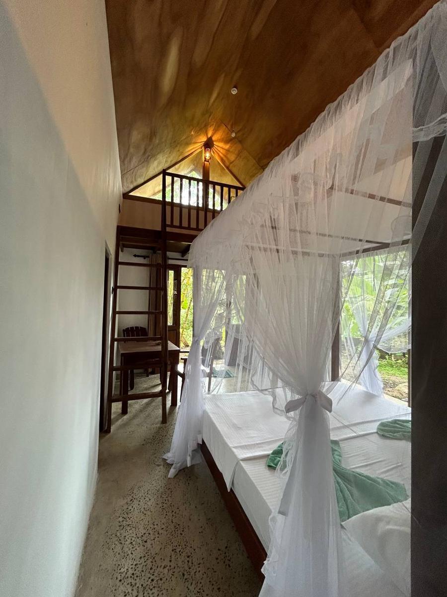 Jungle Lodge photo 3