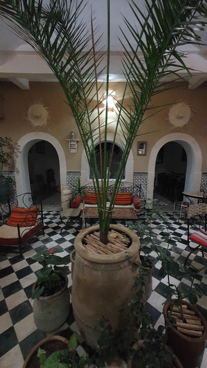 Riad Sidi Magdoul photo 3