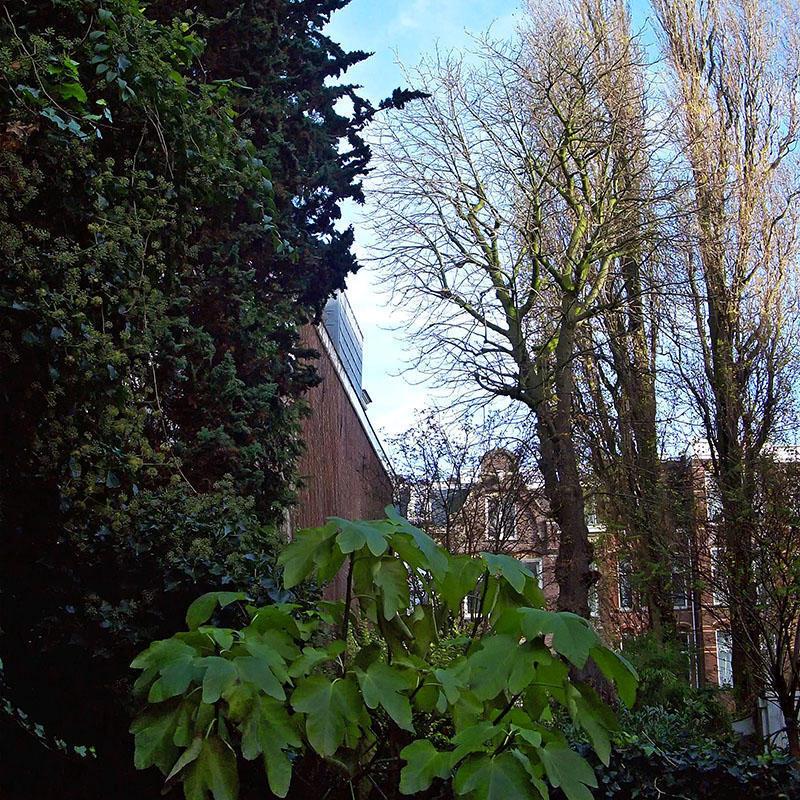 Amsterdam Hostel Annemarie photo 5