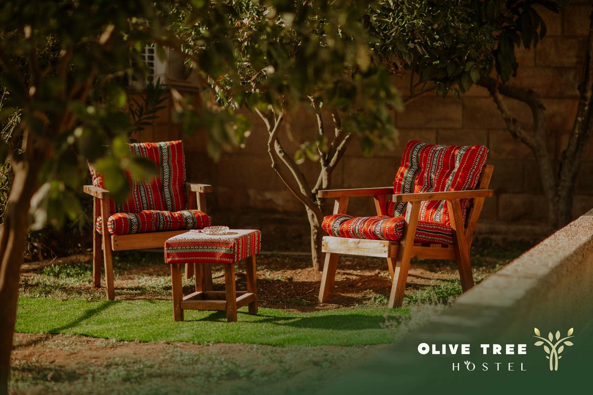 Olive Tree Hostel photo 1