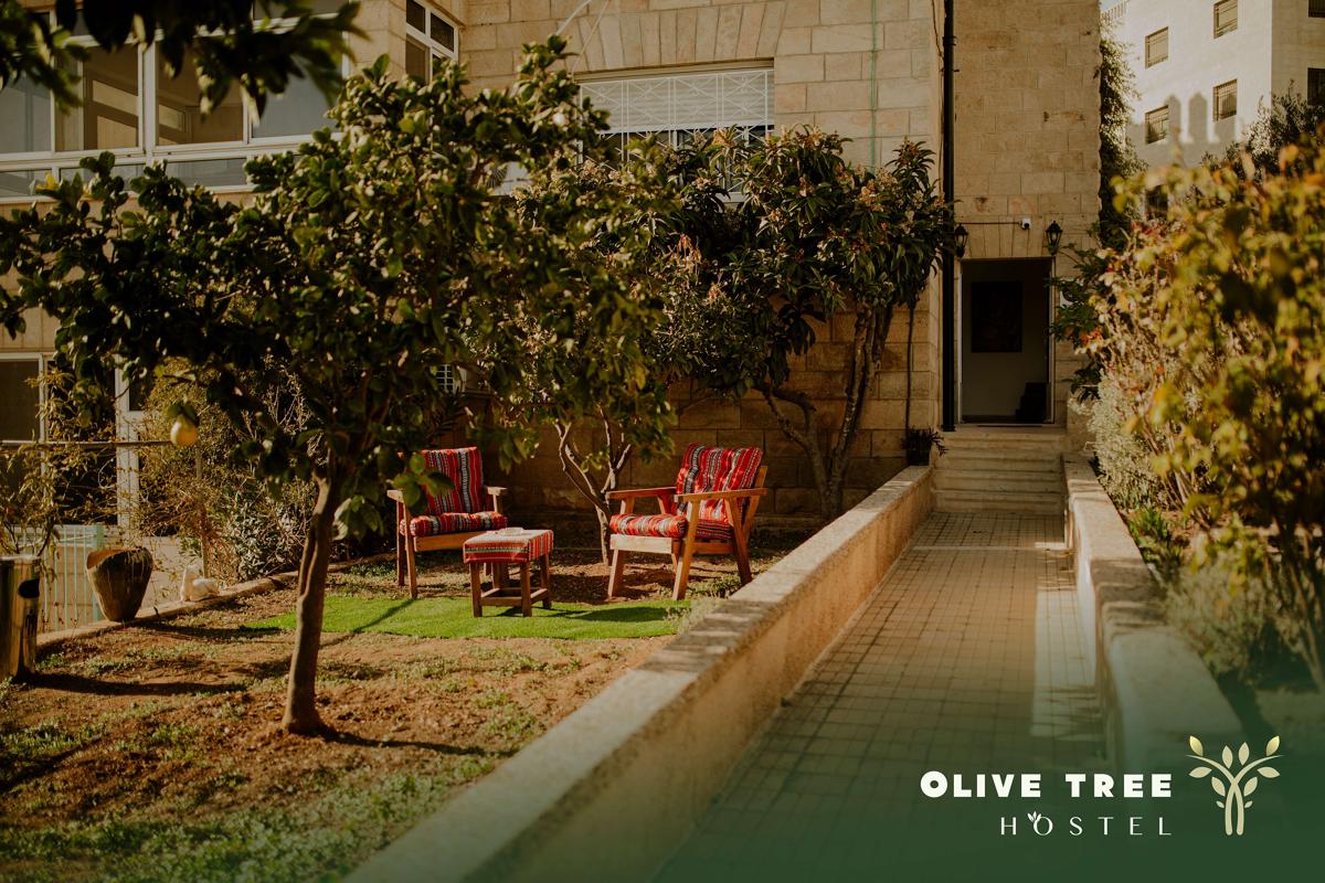 Olive Tree Hostel photo 2