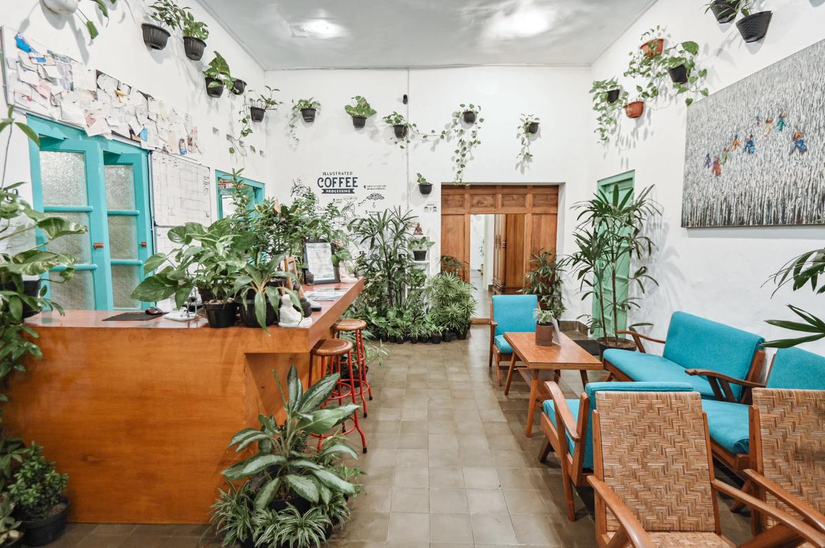 Snooze Hostel Yogyakarta photo 4