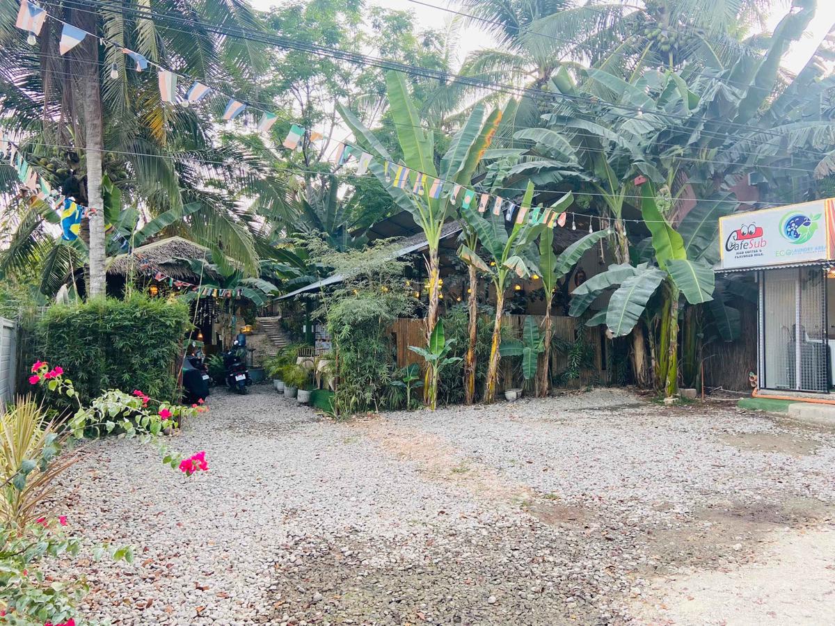 Ecostay Panglao Backpackers Bed photo 3