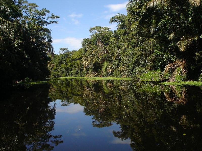 Aracari Garden Hostel photo 4