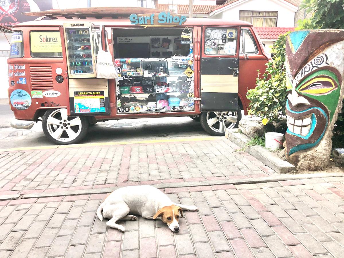 My Friend Surf Hostel photo 2