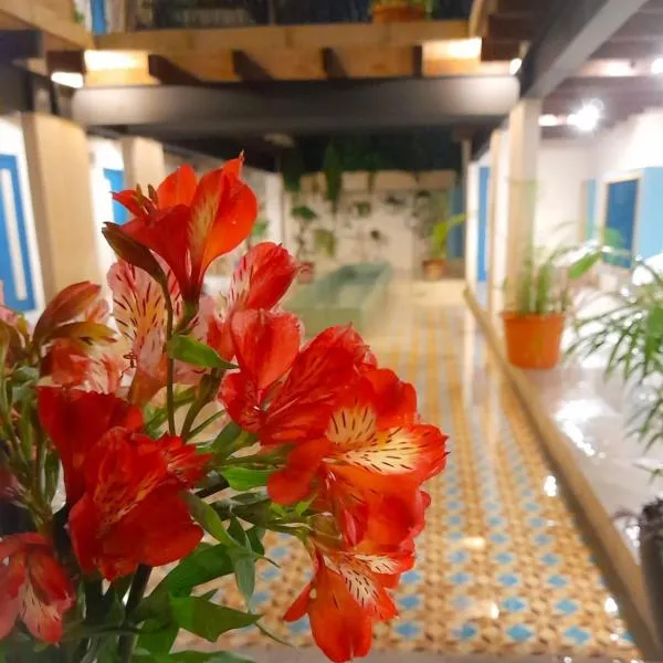 Hostal Suaber photo 5