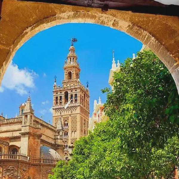 Hub Hostel Seville photo 5