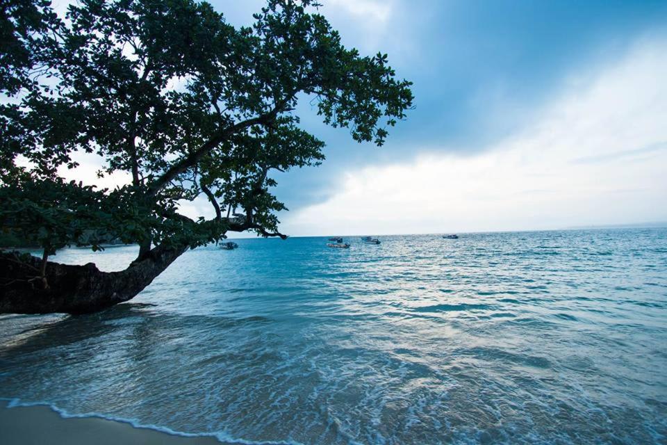 Mentawai Ebay Playground Surfcamp photo 3