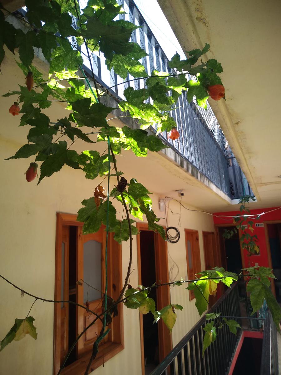 Casa Hernández photo 3
