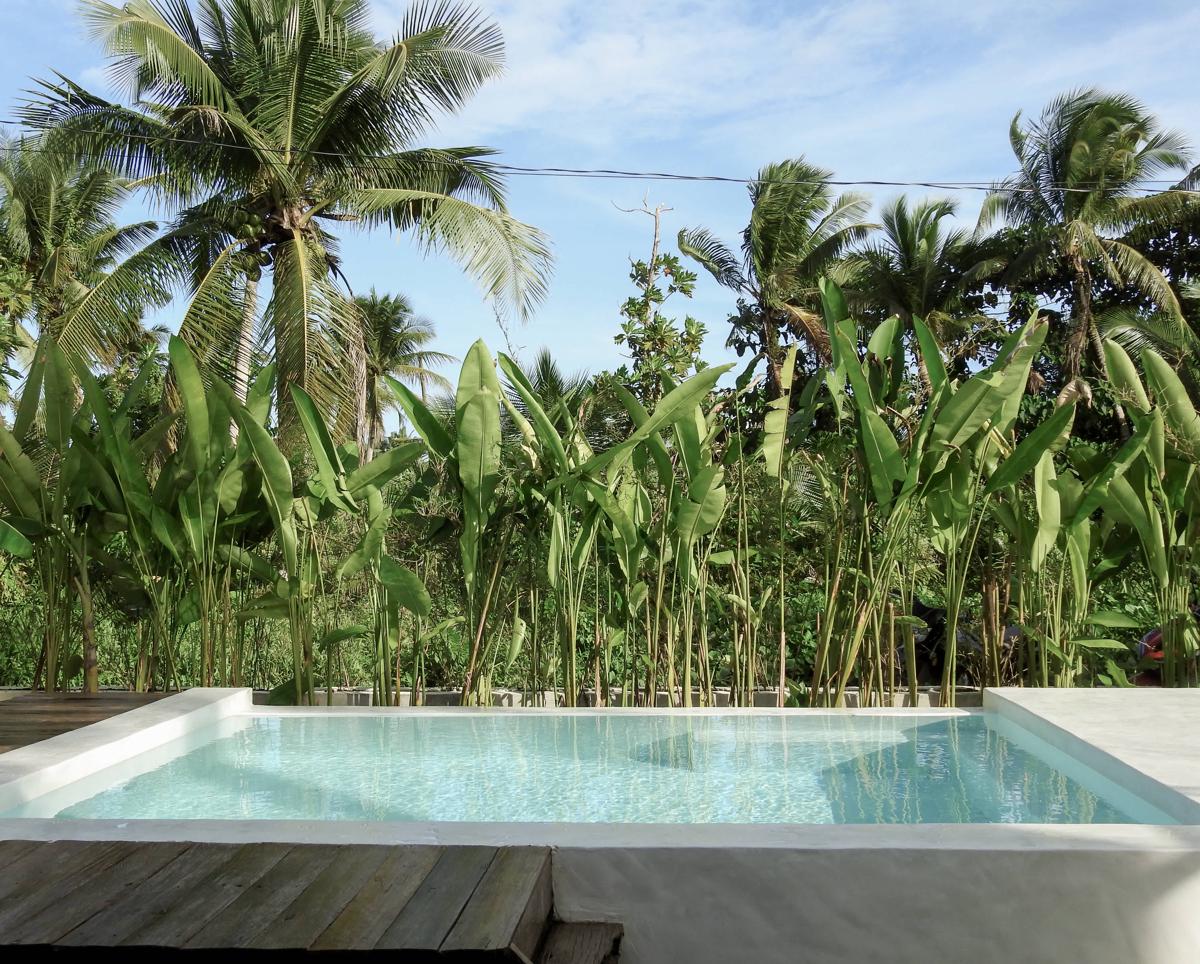 Single Fin Hostel and Cabanas photo 3