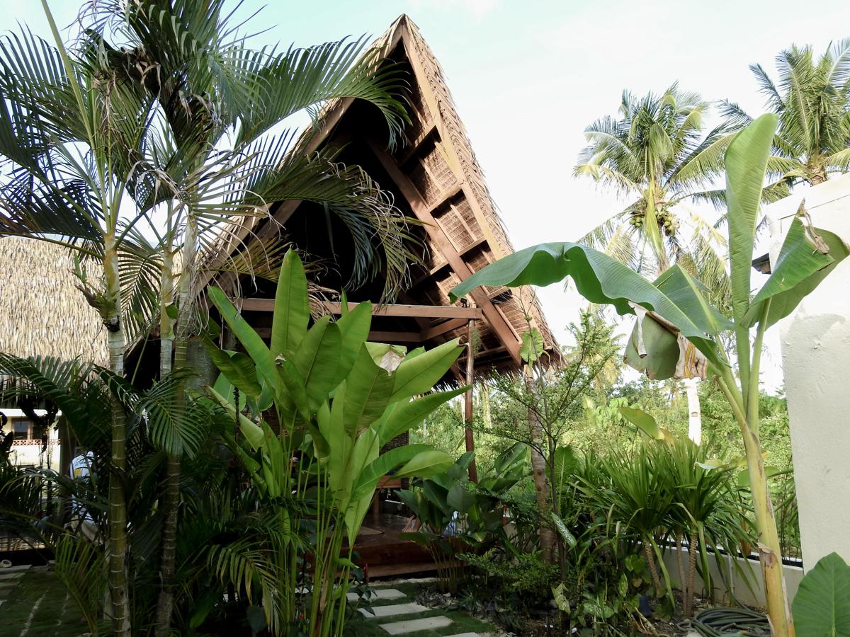 Single Fin Hostel and Cabanas photo 4