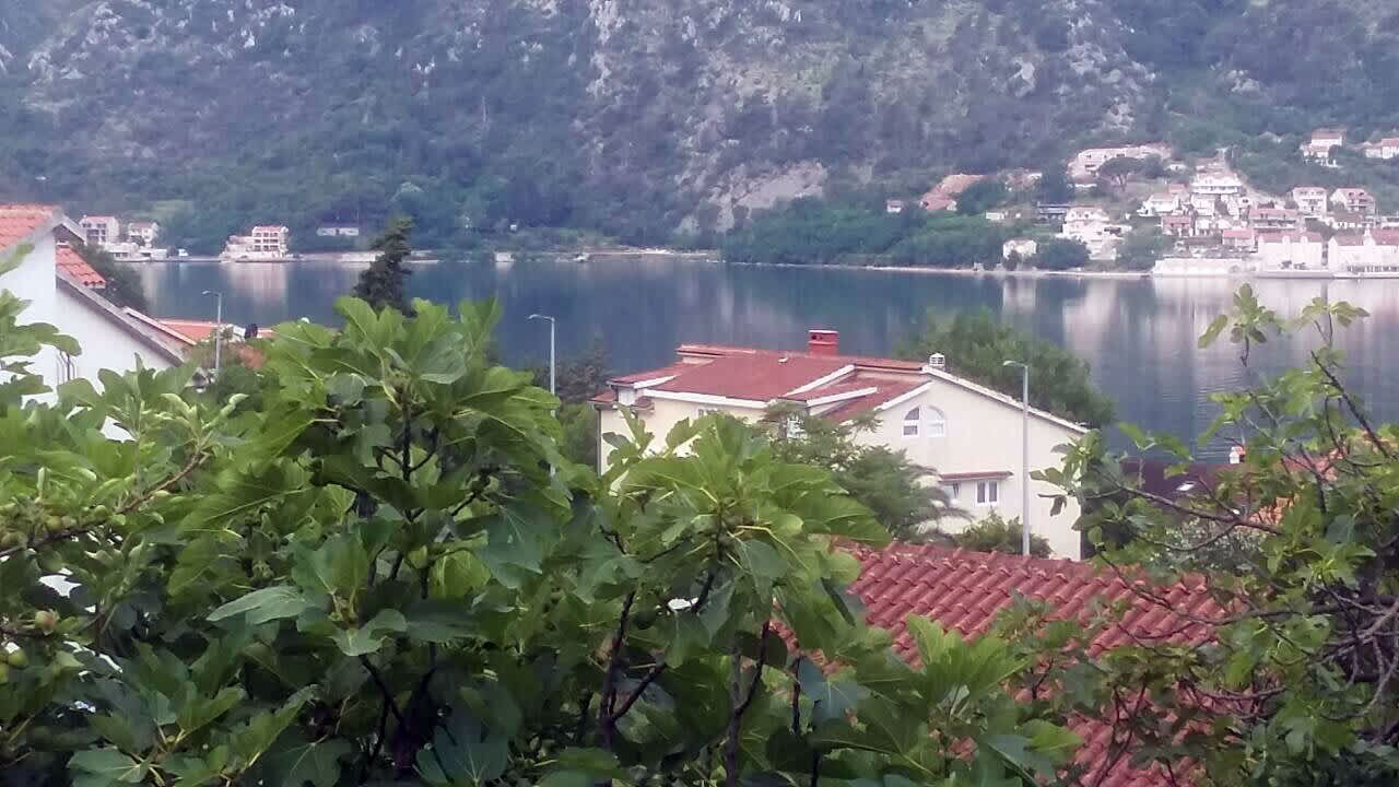 Djura Guesthouse photo 4