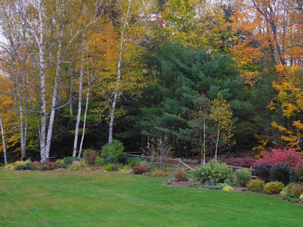 Wilson Lake Inn & Suites photo 4