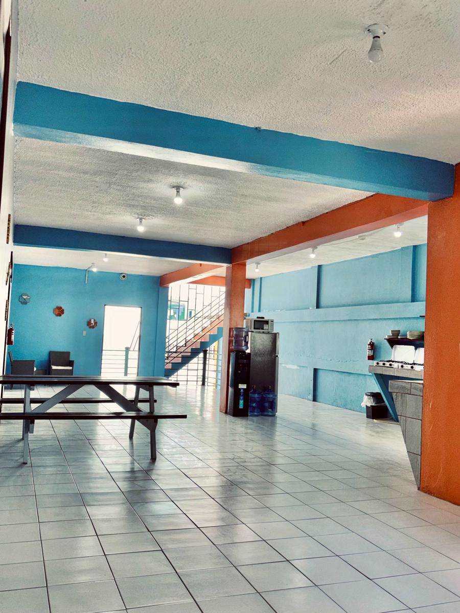 Caye Caulker Hostel photo 3