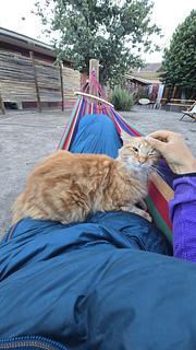 Scorpius hostel photo 6