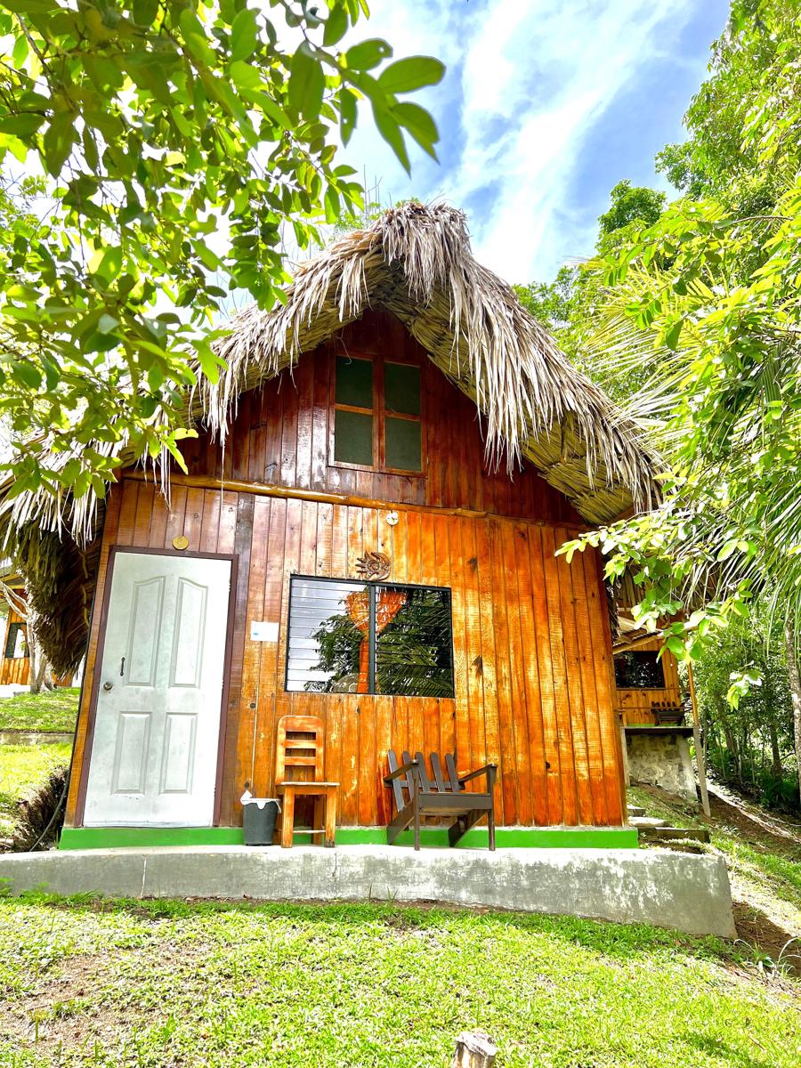 Hostal Oasis photo 4