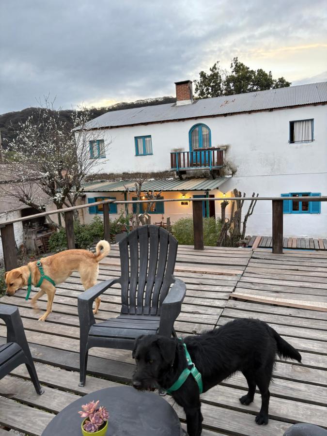 Onda Verde Hostel photo 6
