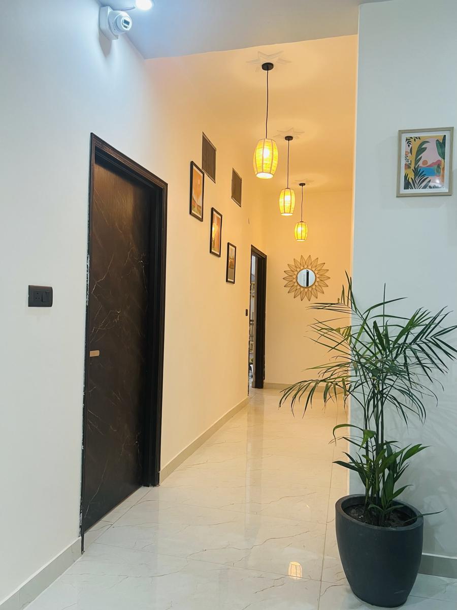 Live Free Hostel Dehradun photo 3