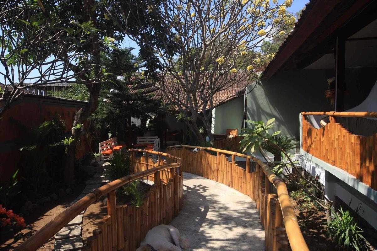 Bamboo Paradise photo 4