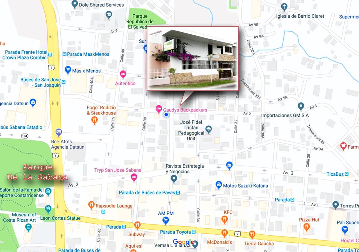 Gaudy's Hostel photo 4